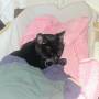 2022-03-17_bill_in_recovery.jpg