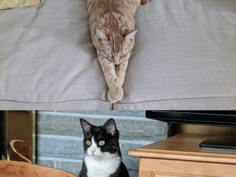 agnes_lloyd_legs_crossed.jpg