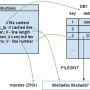 exf_2.png